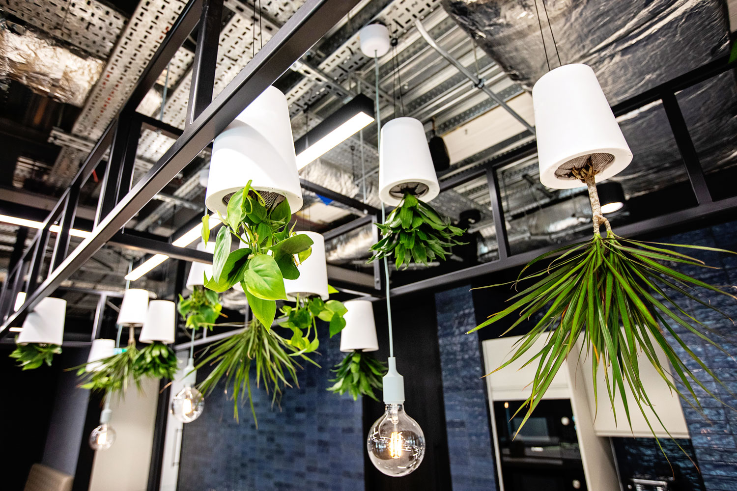 How can biophilic design be incorporated into the office? 