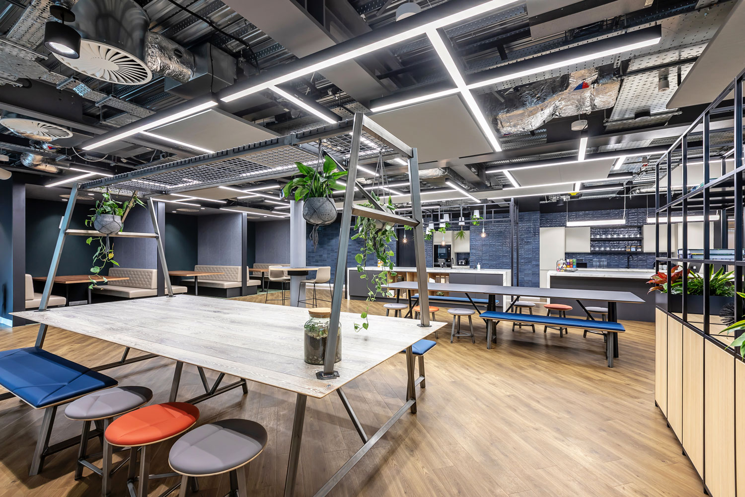 Industrial style kitchen area with large dining tables and stools, blue walls and hanging plants