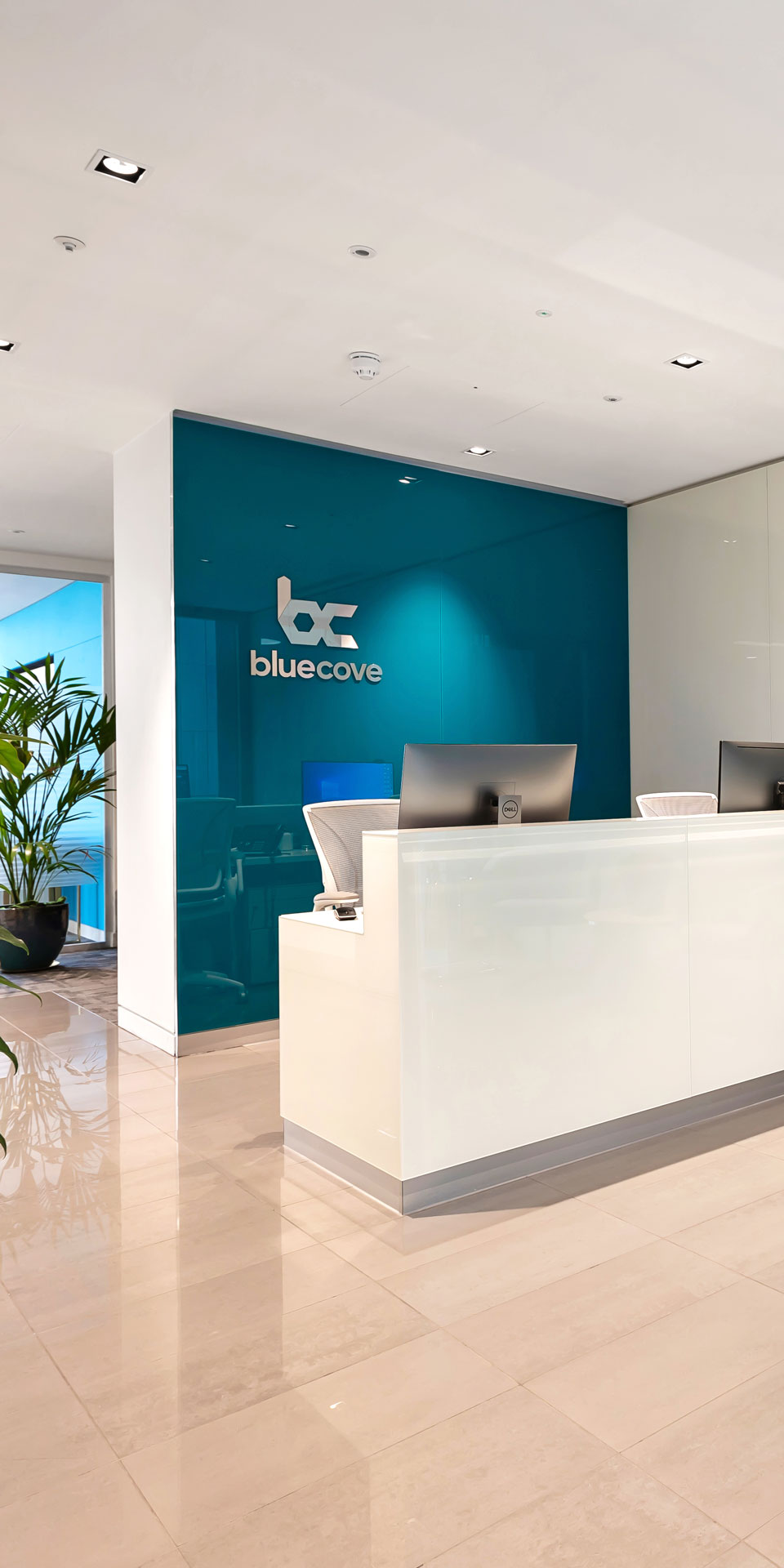 BlueCove Limited